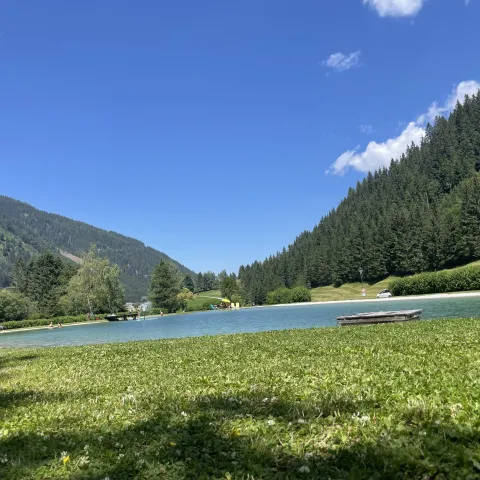 Donnersbachwald swimming pond