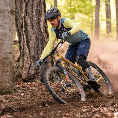 Biker races through the forest on a bike trail