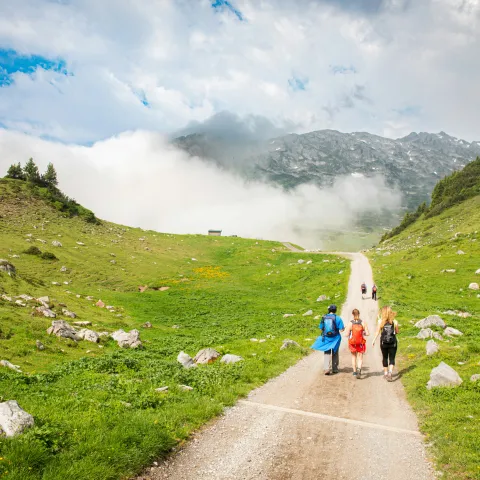 Family hiking in the Austrian alpine landscape