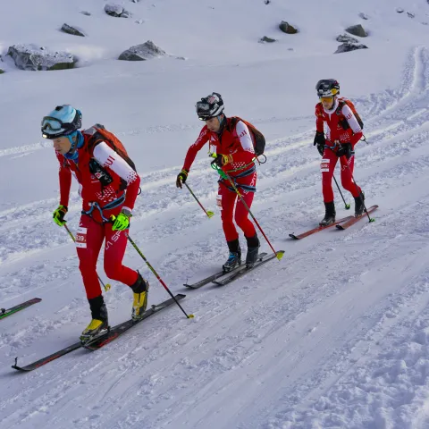 Cross-country skiing group