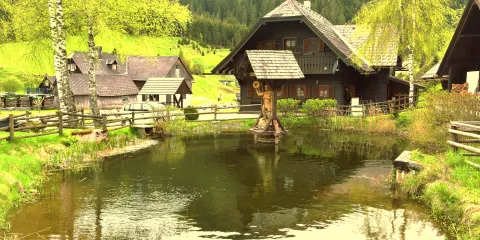 Garten-Außenbereich