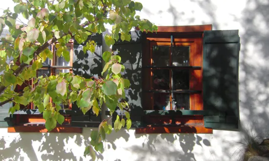Ferienhaus Werkstatt'l von aussen im Sommer